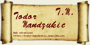 Todor Mandžukić vizit kartica